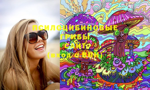 ГАЛЛЮЦИНОГЕННЫЕ ГРИБЫ Навашино